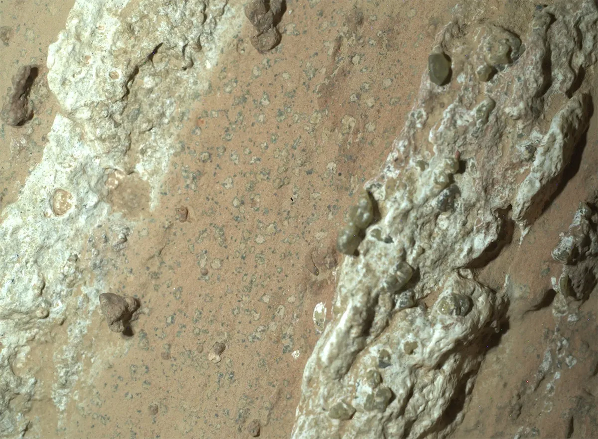 NASA’s Perseverance Mars rover captured this image of a rock with 'leopard spots' nicknamed Cheyava Falls on 18 July 2024. Credit: NASA/JPL-Caltech