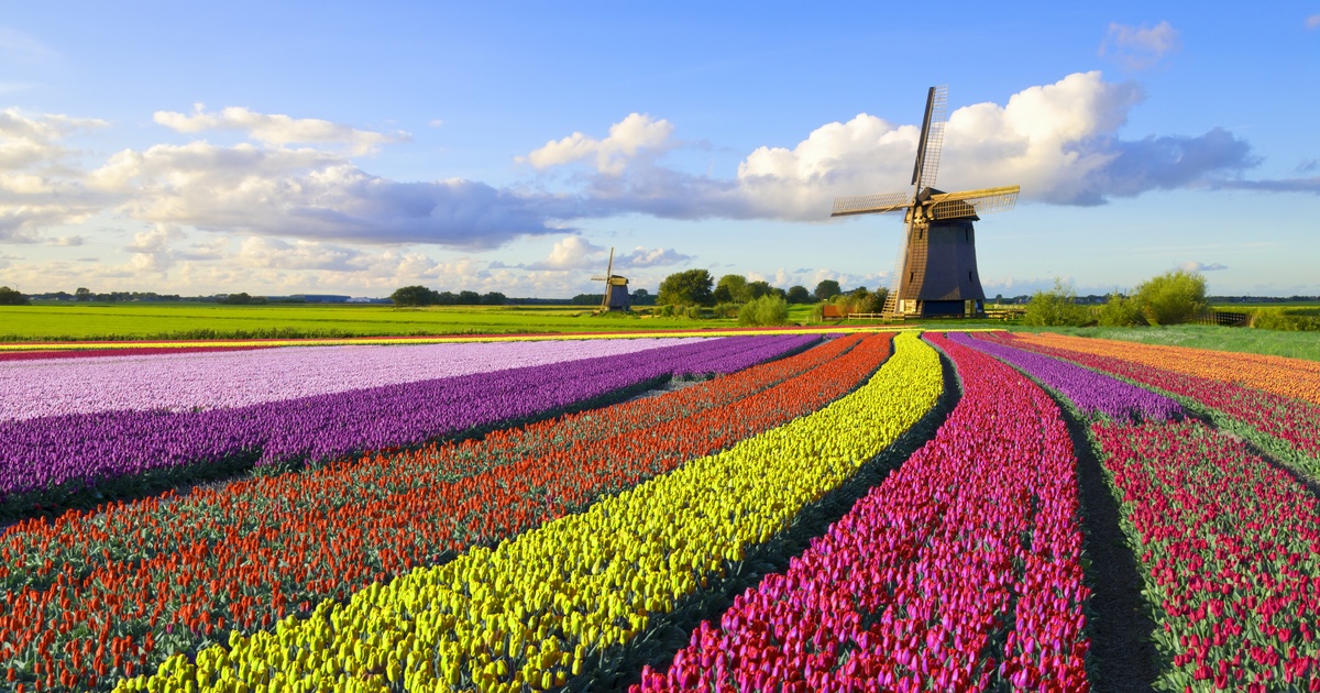 Enhancing A/B Testing at DoorDash with Multi-Armed Bandits