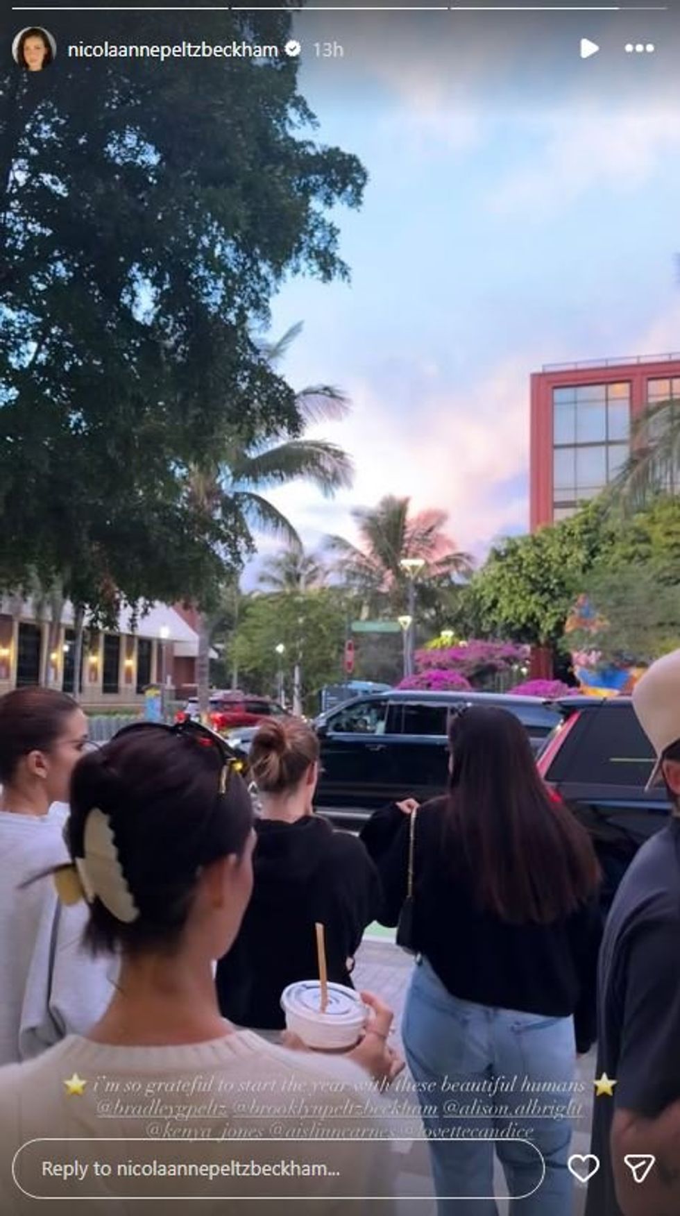 Nicola Peltz Beckham