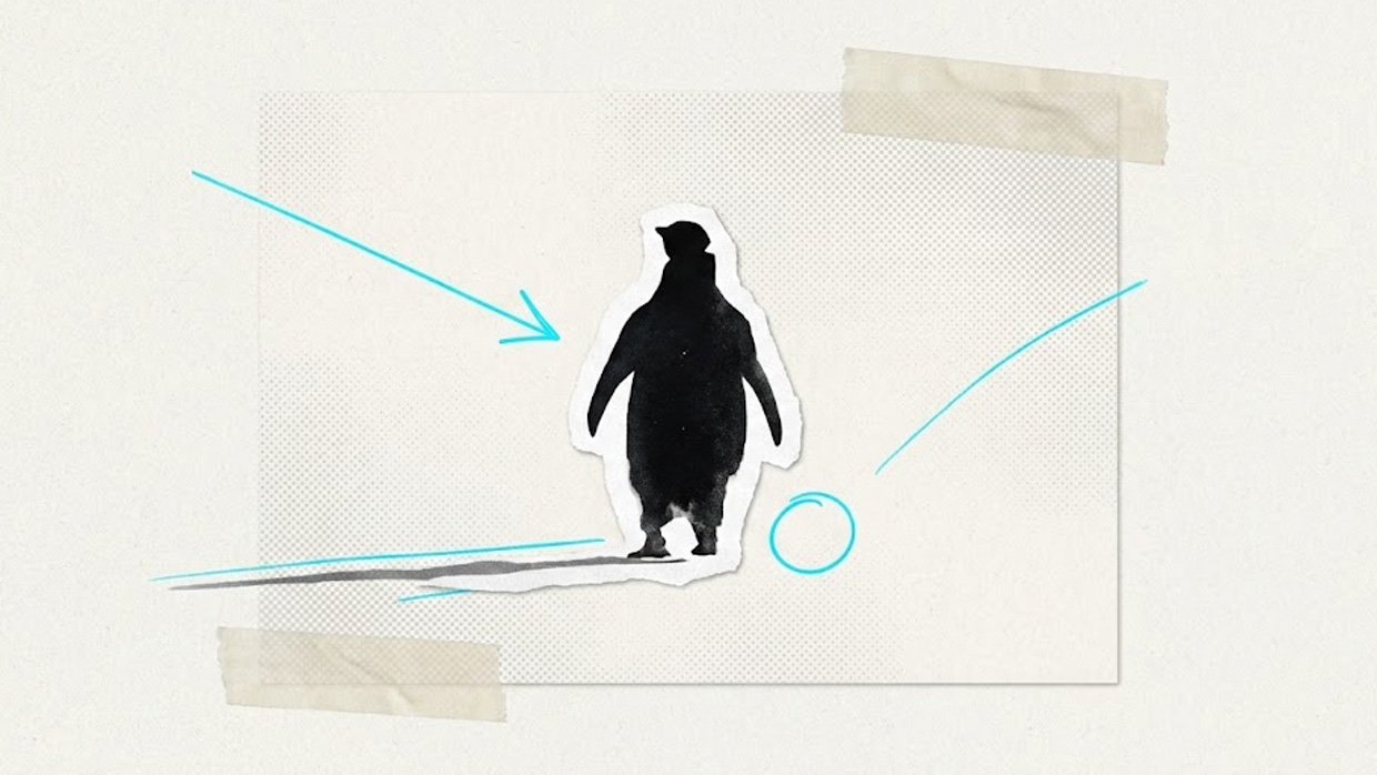 The Penguin Who Walked Away