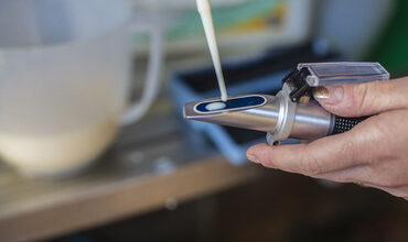 Colostrum management: Latest research on handling and storage for dairy farmers | Farm News