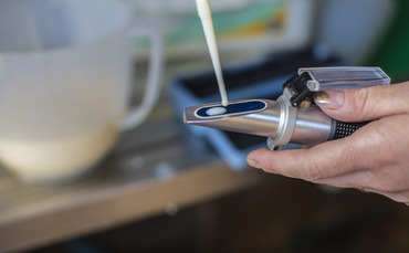 Colostrum management: Latest research on handling and storage for dairy farmers | Farm News