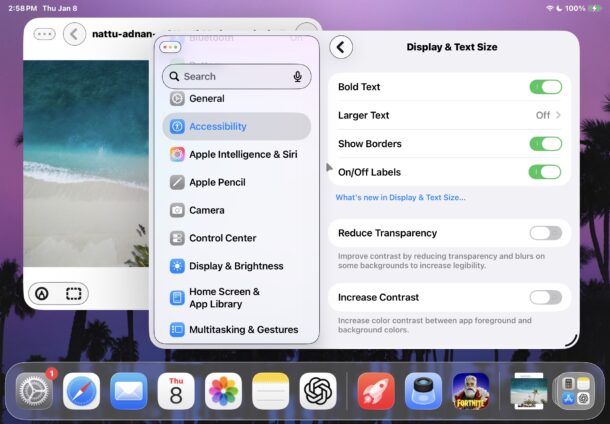 Show Borders setting enabled on iPadOS 26