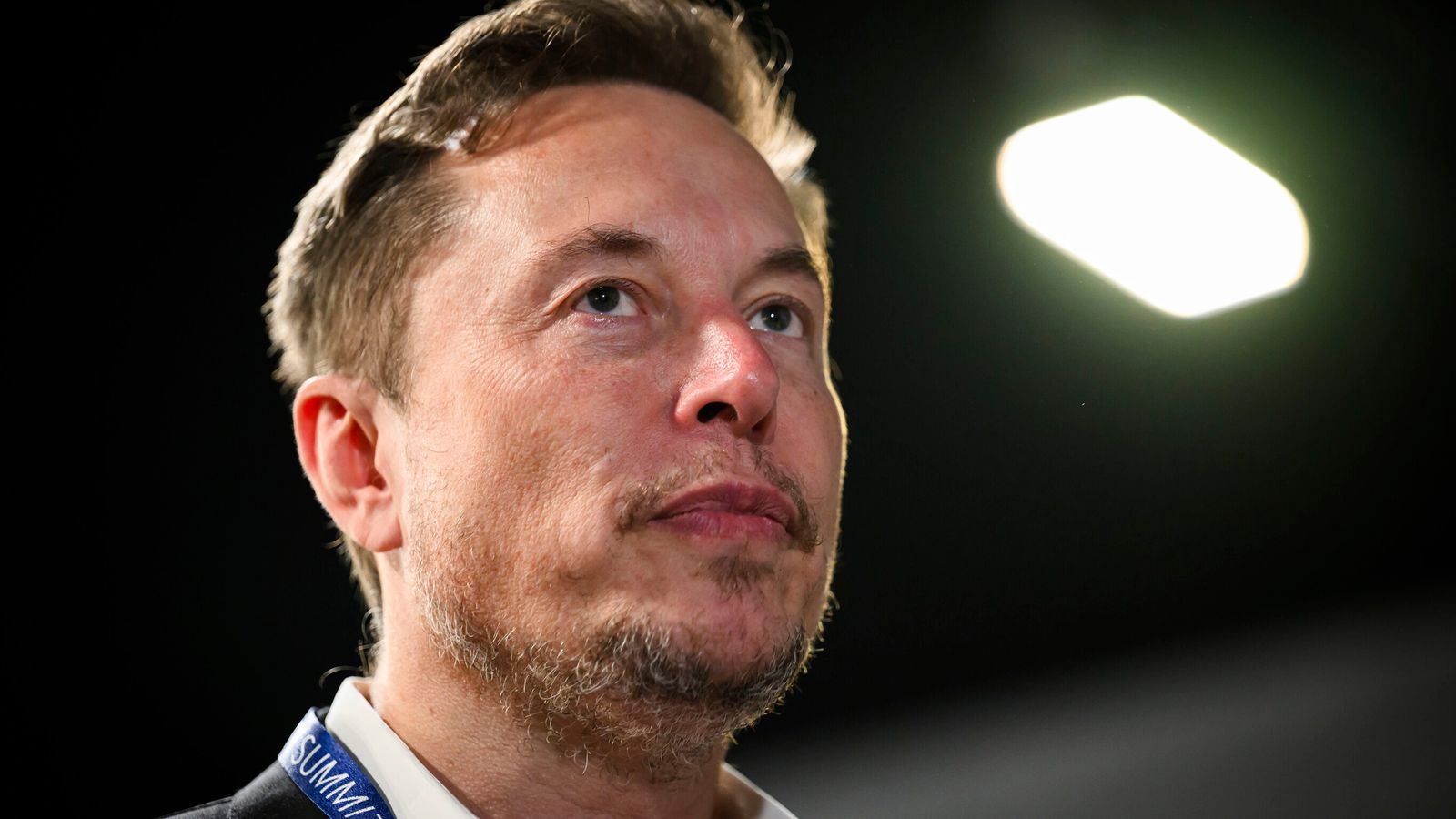 Tesla chief executive Elon Musk. Pic: AP