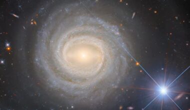 spiral-galaxy-ngc-3783