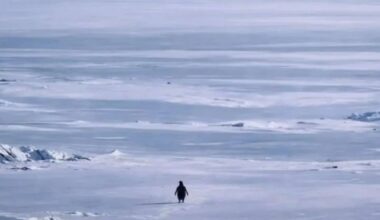 Story behind the viral