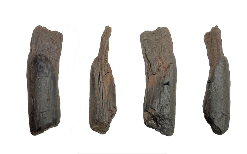 Scientists recover the oldest wooden tools from a site in Greece