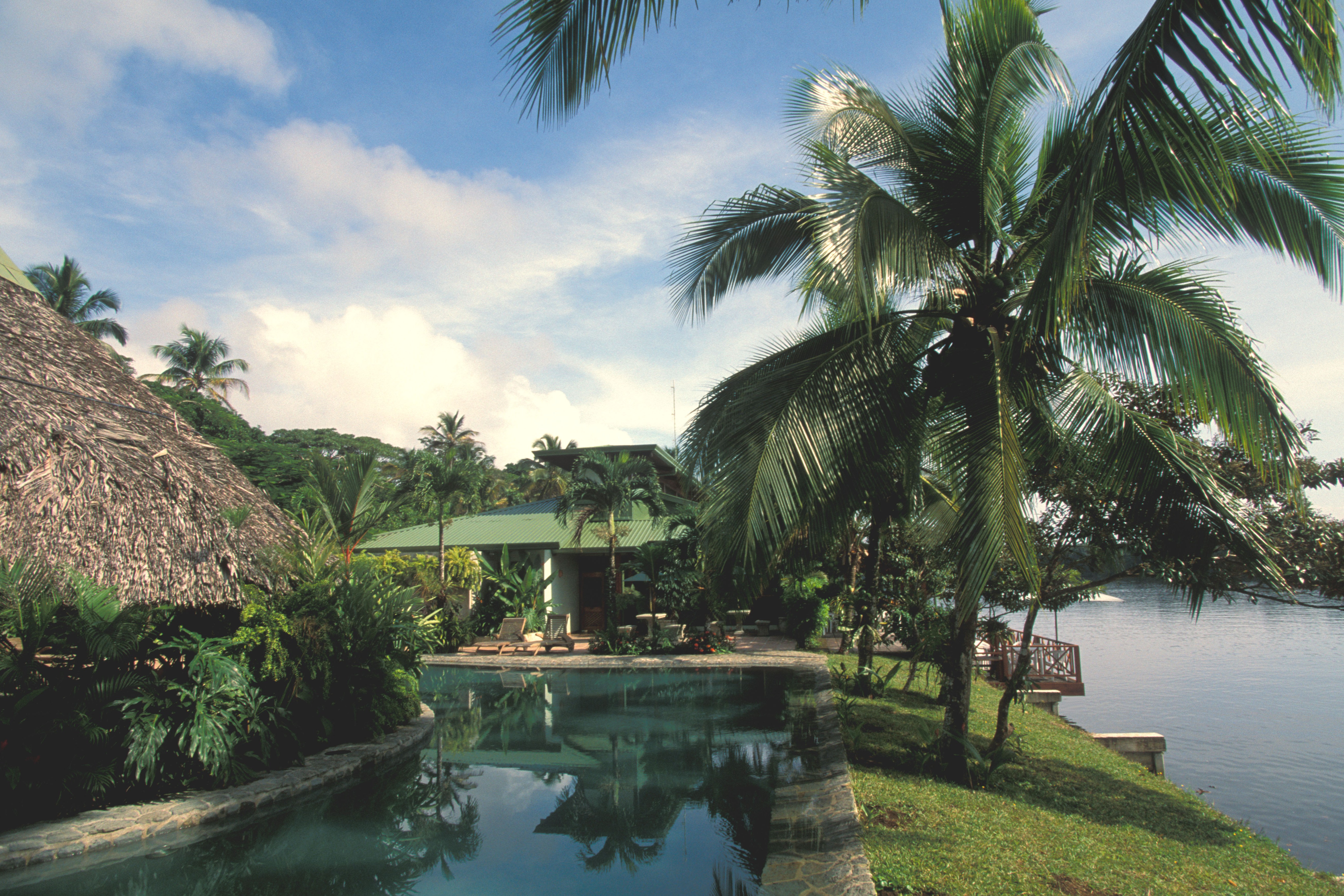 costa rica tortuguero tortuga lodge swimming pool ecotourism nature travel escape primitive luxury thatch roof palm trees water