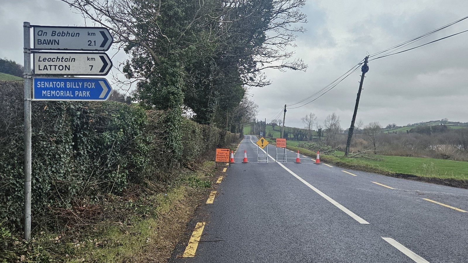 Man, 40s, killed in Co Cavan road collision