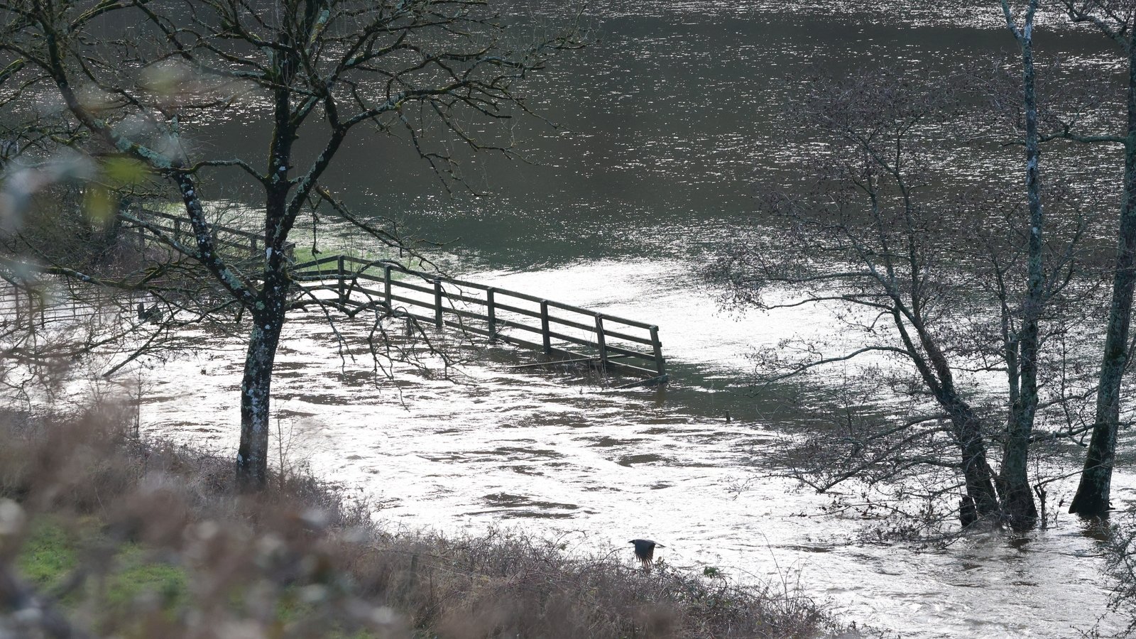 Flood warning as rainfall alert in place for 8 counties