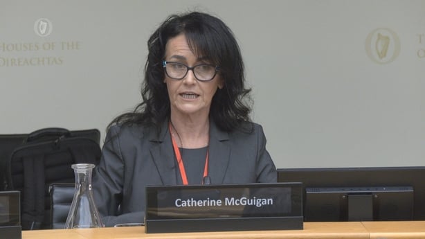 a screengrab of catherine mcguigan speaking at the committee on transport