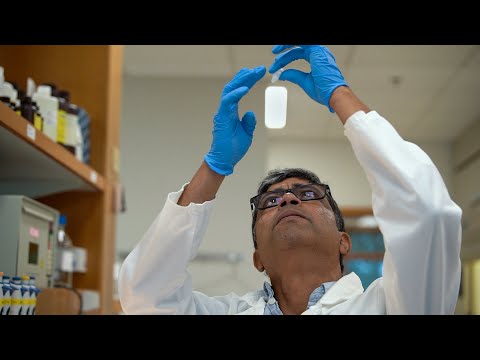 Stowers Institute Scientific Director Kausik Si, Ph.D., explains how precisely regulated amyloids—and the chaperone proteins that control them—enable the brain to store experience, opening new avenues for understanding memory and treating neurological disease.