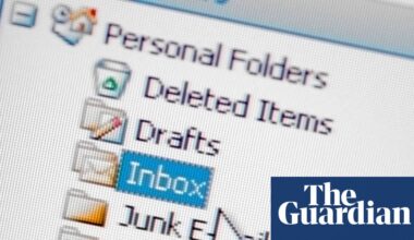 Viral AI personal assistant seen as step change – but experts warn of risks | AI (artificial intelligence)