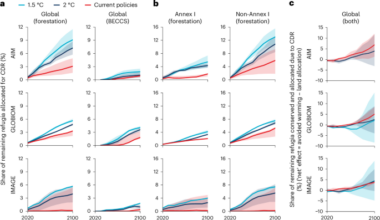 Biodiversity implications of land-intensive carbon dioxide removal