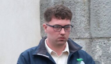 Man who fraudulently used property developer’s bank details to buy BMW SUV jailed – The Irish Times