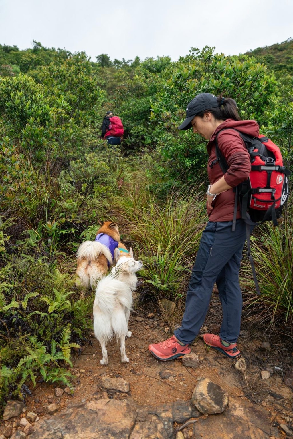 Stephanie Lown is seen on a walk with her dogs and other members from Exploring Dogs. Photo: Stephanie Lown