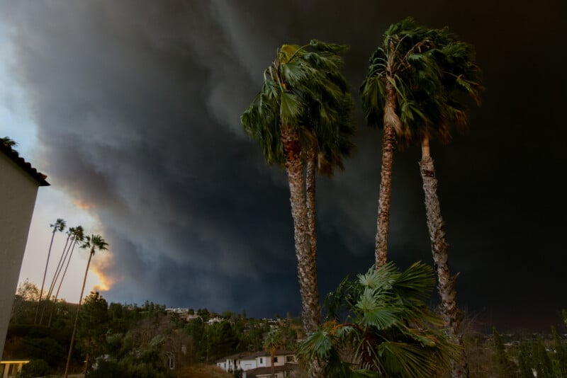 Dark storm clouds loom over a hillside neighborhood with palm trees in the foreground swaying in the wind, creating a dramatic and ominous atmosphere.