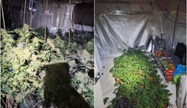 Man charged to court following discovery of cannabis grow house in Crossmaglen – Armagh I