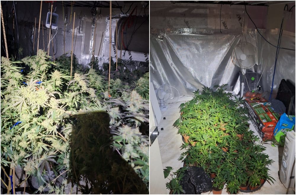 Man charged to court following discovery of cannabis grow house in Crossmaglen – Armagh I