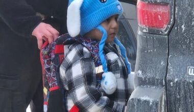 Five-year-old boy and father detained by Ice officers in Minnesota freed – The Irish Times