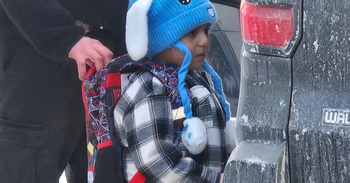 Five-year-old boy and father detained by Ice officers in Minnesota freed – The Irish Times