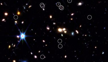 JWST shakes up the hunt for earliest galaxy cluster