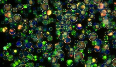 This New Optical Crystal Could Power Next-Generation Quantum and Semiconductor Tools