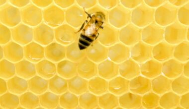 Building with air – how nature’s hole-filled blueprints shape manufacturing