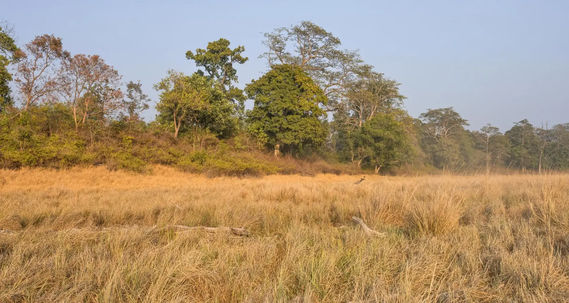 750-year-old Indian poems reveal a landscape scientists got wrong