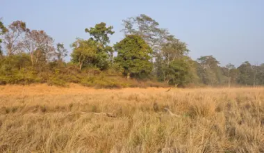 750-year-old Indian poems reveal a landscape scientists got wrong