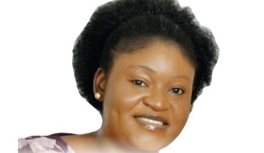 The Sandpaper Leaf's Medicinal Uses