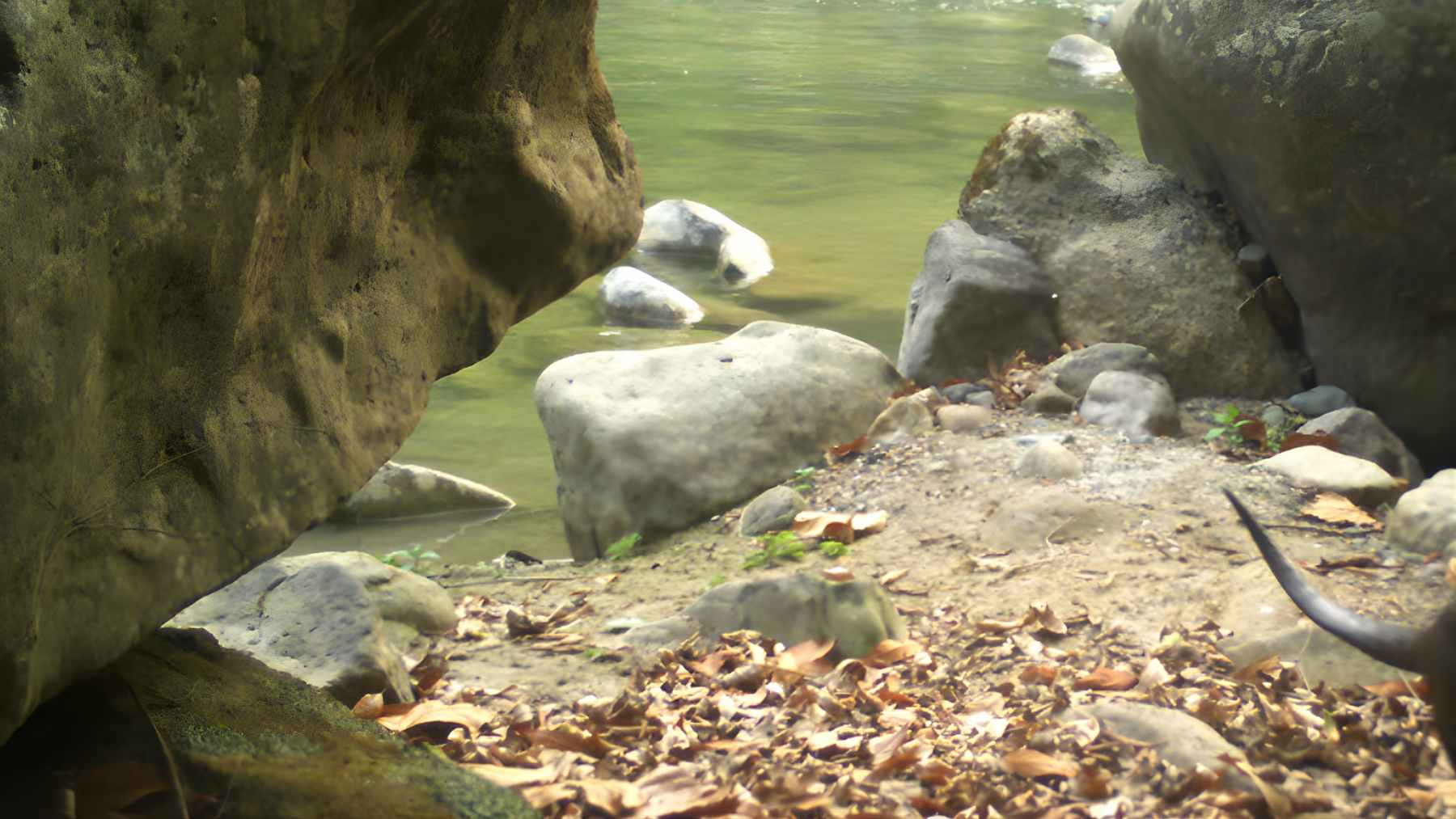 Forest stream and rocky riverbank in Nandhaur Wildlife Sanctuary, where camera traps recorded smooth-coated otters during a tiger survey.