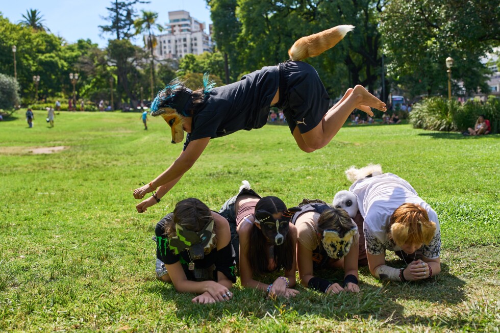 Argentine teens say they identify themselves as non-human animals in latest viral trend