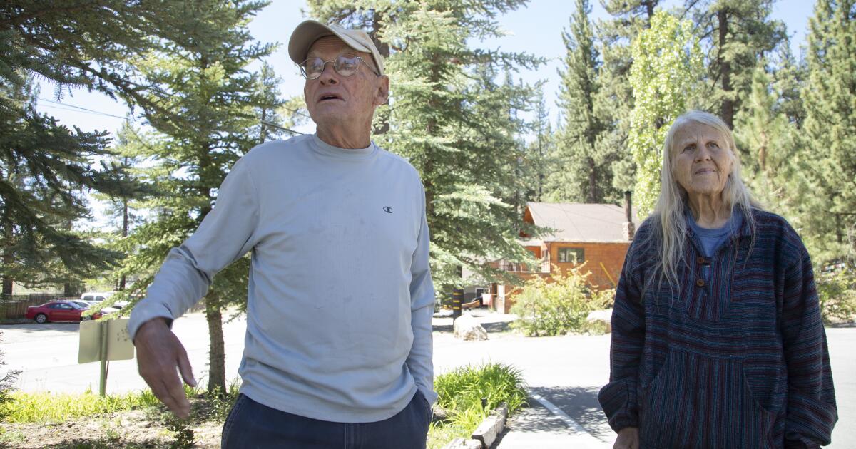 Sandy Steers dies: Activist helped launch Big Bear's popular eagle cam