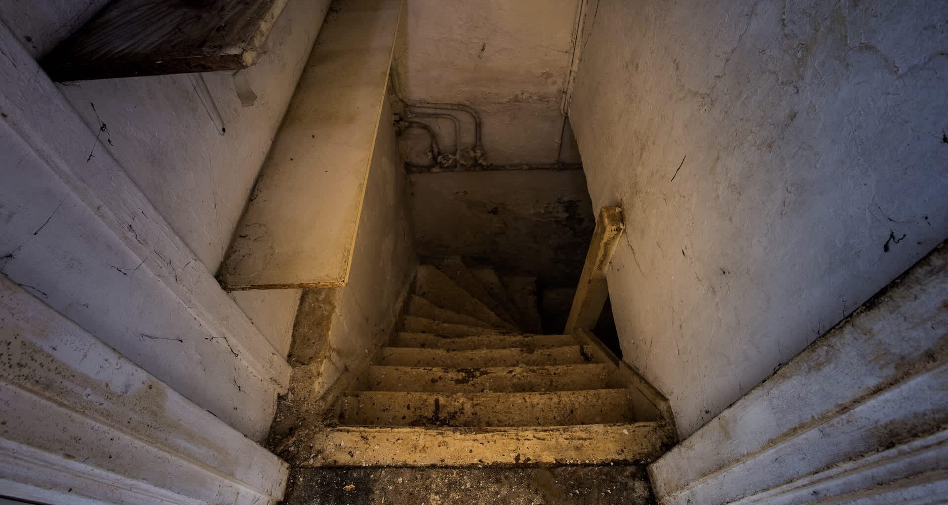 California authorities uncovered and disrupted several major wildlife trafficking operations, including one that internationally trafficked illegal products made from endangered species.