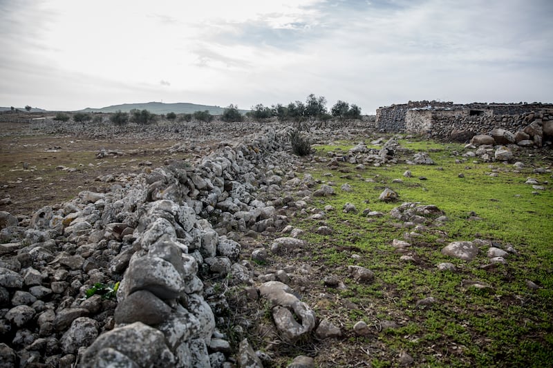 Locals in the Syrian village of Kodana say land on one side turned brown after Israeli planes sprayed chemicals on it, while the other side is still green. Photograph: Sally Hayden