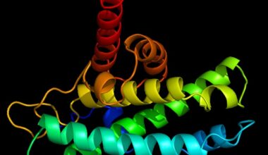 Scientists visualize a key cell protein regulating inflammatory disease pathways
