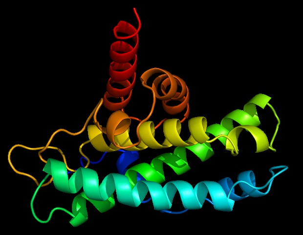 Scientists visualize a key cell protein regulating inflammatory disease pathways