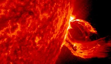 Scientists Unveil ‘DNA Battery’ That Charges Directly From The Sun