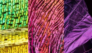 The Hidden World of Insect Wings Revealed by Macro Photographer