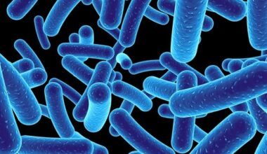 Surface acids found crucial for bacterial shape and growth