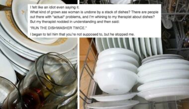 dirty dishes, dishes, dishwasher, dirty cups, dirty plates, clean plates, clean dishes