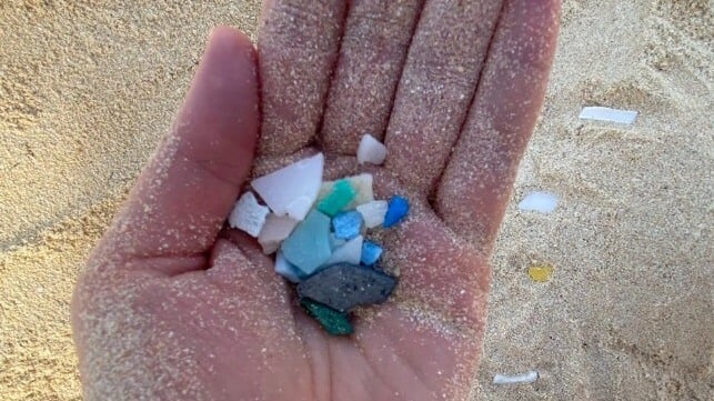 Microplastics Could Affect the Ocean's Ability to Absorb Carbon