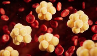 Study: Vitamin D Status and Atherogenic Lipid Profiles, Including Lipoprotein(a), in Elite Athletes. Image Credit: Vink Fan / Shutterstock