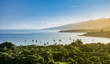 Fiji Blocks Controversial Australian-Backed Waste Incinerator Project