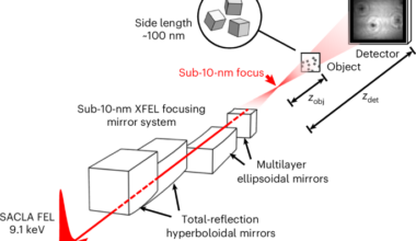 Single-shot full-field X-ray imaging with 10-nm resolution using hard X-ray free-electron laser pulses