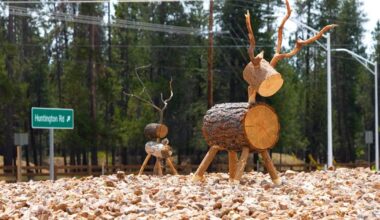 Three Rivers roundabout art mystery keeps changing | La Pine / Sunriver News