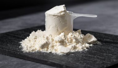 Study explores potential of hydrolyzed whey protein after lactic acid modification