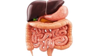 New genetic driver found for rare small intestinal cancers