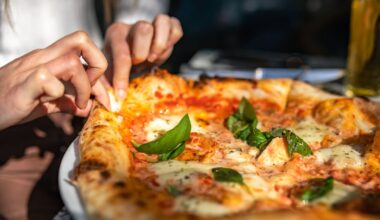 Hospital consultant expresses medical concerns over Chawke family wood-fired pizza operation – The Irish Times
